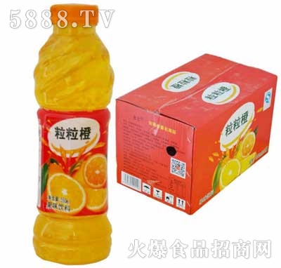 ���������ȿ�ζ�Ʒ600ml���b