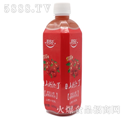 ���pɽ�����ɽ�֭500ml