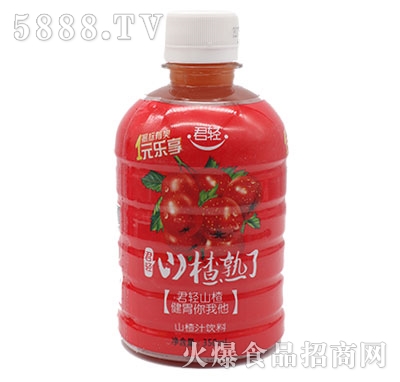 ���pɽ�����ɽ�֭350ml