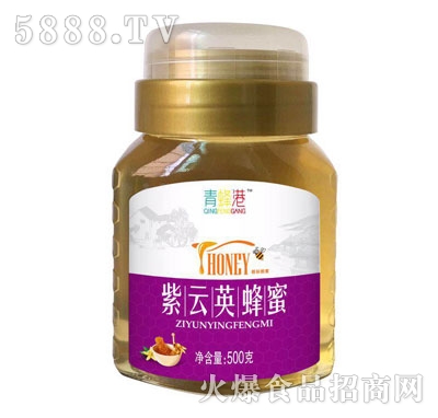 ��������Ӣ����500��