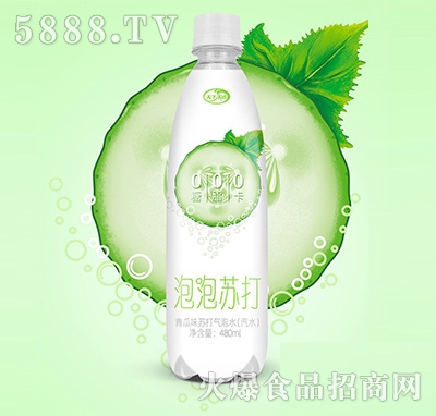 ����ˮ�������K�����ζ�K�����ˮ480ml