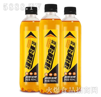 �\�ҏ����S�������480ml