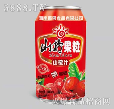 ���ɽ髹���ɽ�֭310ml