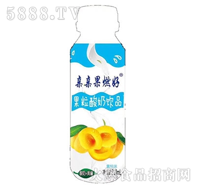 �H�H��ȼ���S�ҹ��������Ʒ310mL
