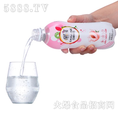 ��������ҹ�ζ���480ml��ƿ�b��