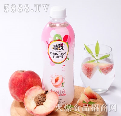 ��������ҹ�ζ���480ml