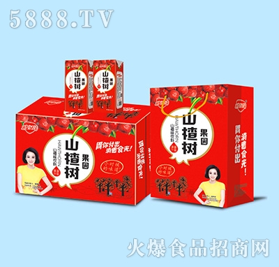 �����ɽ髹��@����+�����-+�дu