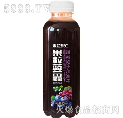 �����C�����{ݮ���ѹ�֭500ml