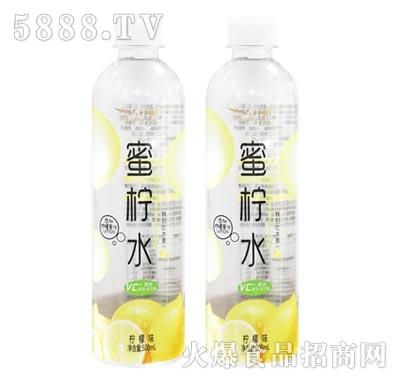 ������ۙ�ˮ500ml
