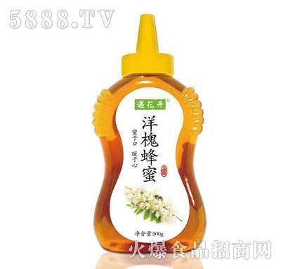 �����_�󻱷���500g