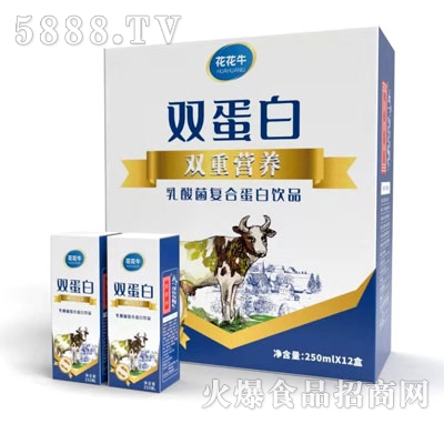 花花牛乳酸菌復(fù)合蛋白飲品250mlX12