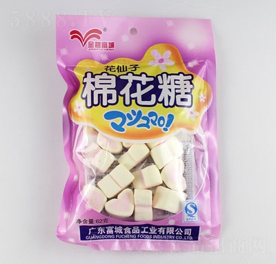 ��̸��ǻ������޻���62g