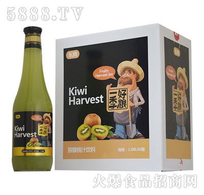 東致1.08L菊花瓶獼猴桃汁