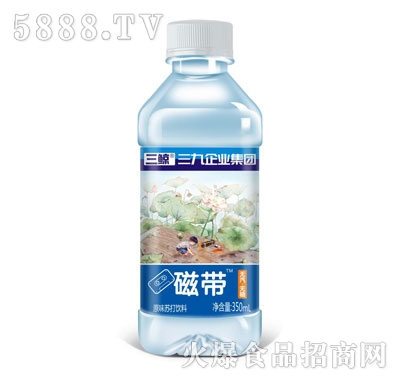 �Ŏ�ԭζ�K�����