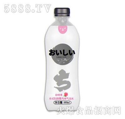 ����������L(f��ng)ζ����ˮ����ζ480ml