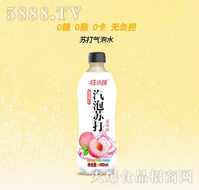 ��С���K�����ˮ����ζ480ml