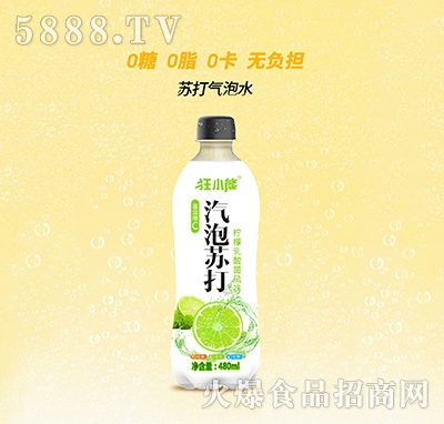 ��С���K�����ˮ����������L(f��ng)ζ�Ʒ480ml