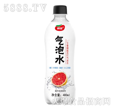 �r�`������ζ�K�����ˮ480ml