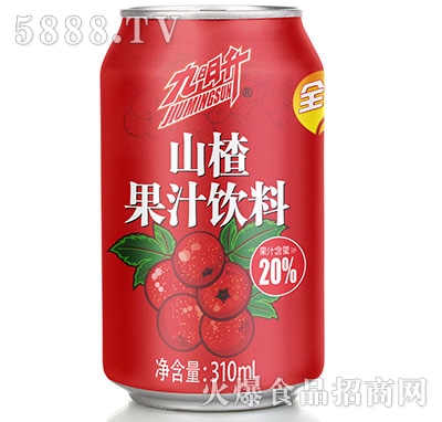 ������ɽ�֭310ml