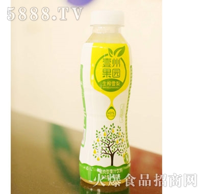 Ҽ�ݹ��@��եѩ������͹�֭���480ml