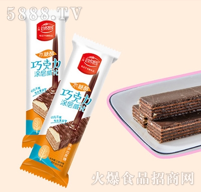 �Ȑ��@�ɿ���Ϳ�������500g