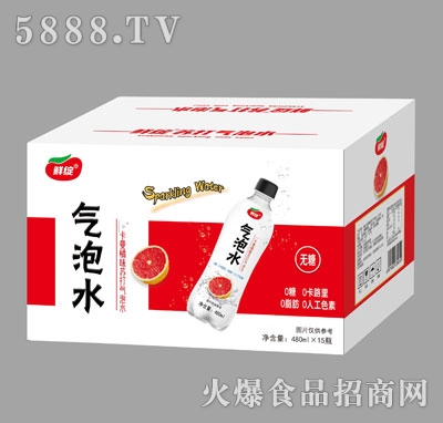 �r�`������ζ�K�����ˮ480mlX15