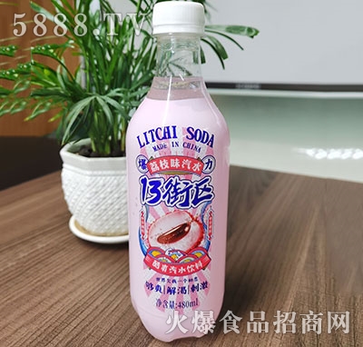 13�օ^(q��)��֦ζ��ˮ480ml