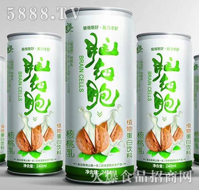 �X����������240ml