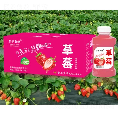 ������ز�ݮ�ͺϹ�֭���380mlX15ƿ