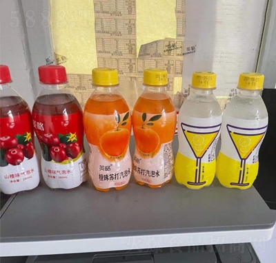 Ӣ�Ԛ���ˮϵ��ƿ�b