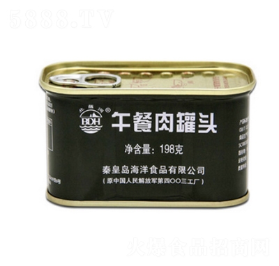 �������������^198g