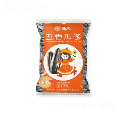 �¾�������ӣ�����