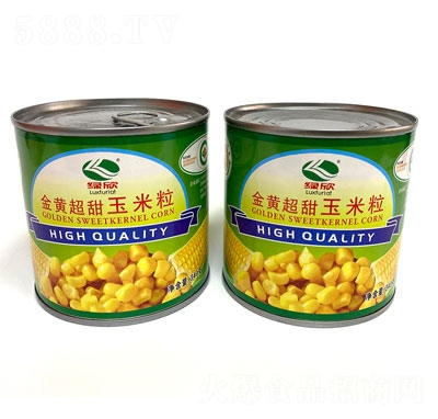 �G�����S�������������^