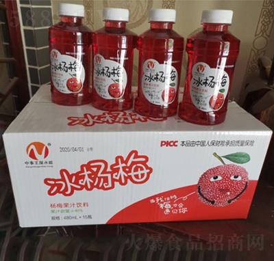 ��������÷480mLX15ƿ