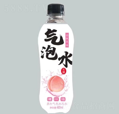 �����L(f��ng)ζ�K�����ˮ��ˮ480ml