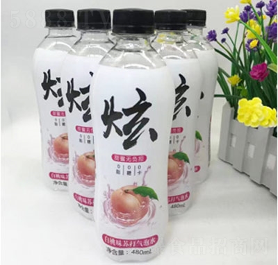�Ű���ζ�K�����ˮ480ml
