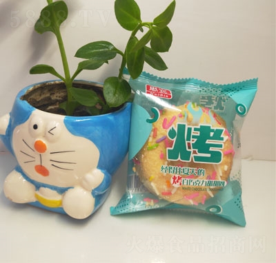 ���������ɿ�������Ȧ