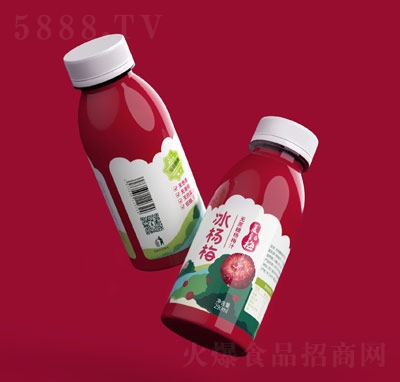 ����÷�o���Ǘ�÷��֭290ml