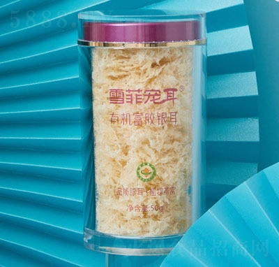 ѩ�ƌ����ЙC���z�y��50��