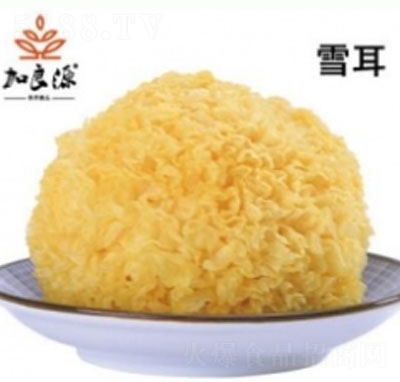 ����Դѩ��