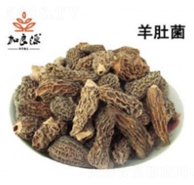 ����Դ��Ǿ�