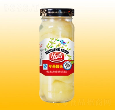 �_480g�O�����^