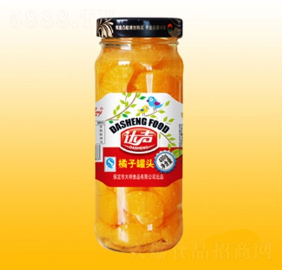 �_(d��)480g���ӹ��^