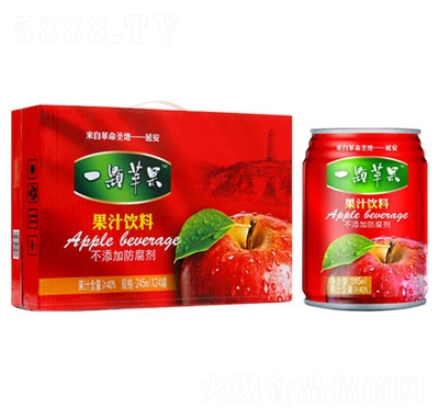 һ�w�O����֭���245mlx24��