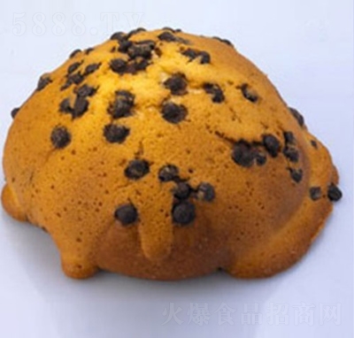 �R�����_���W���