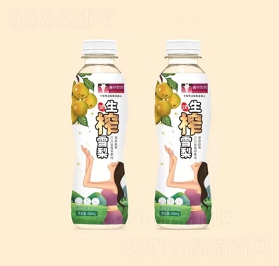 Ҽ����@��եѩ��480ml