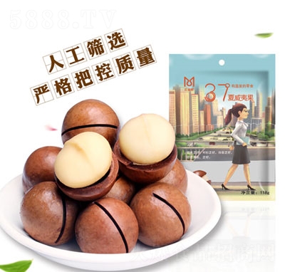 �����Ĺ����b