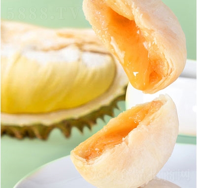 ������ɏ�