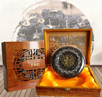 ����轶Y���b