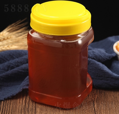 ���� ����